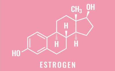 6 Powerful Ways Oestrogen Impacts The Musculoskeletal System by a Physio in Ballito